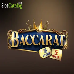 ব্যাকারেট C08 - 3666 bet apk
